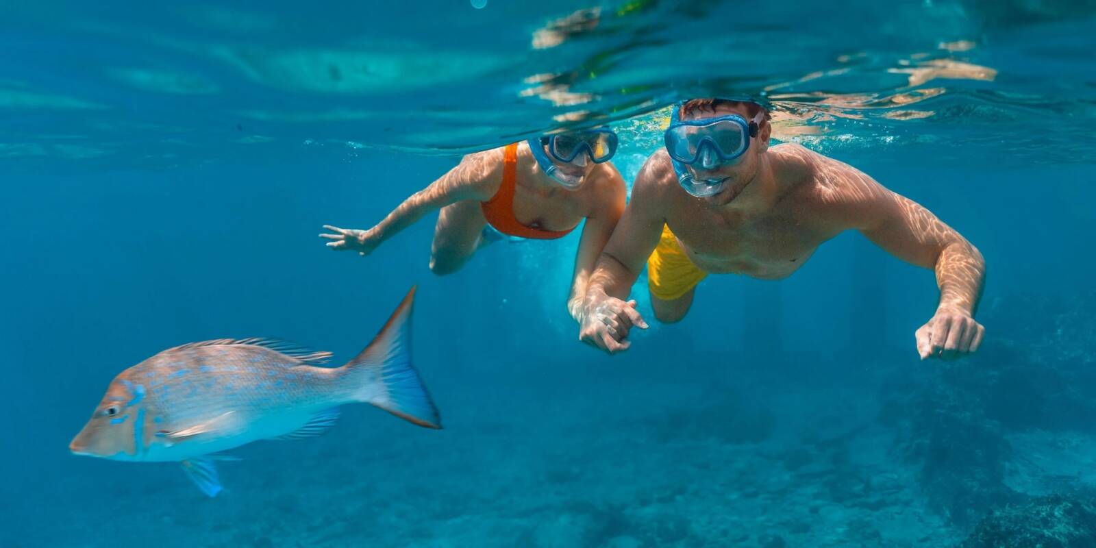 snorkeling in Puerto Plata is a bucket list top item.